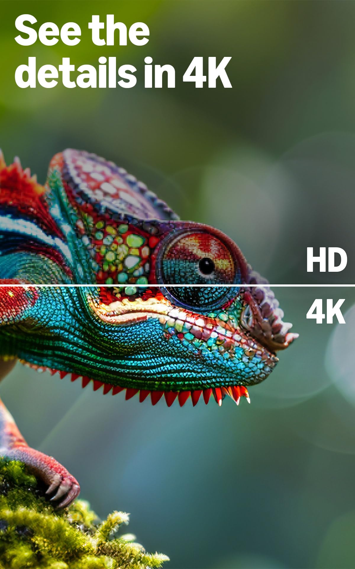 Amazon Fire TV 50" 4-Series (newest model), 4K Ultra HD smart TV with Alexa Remote, HDR10+, fast processor, Dolby Audio, Ambient Experience, free and live TV, find shows faster with Alexa+