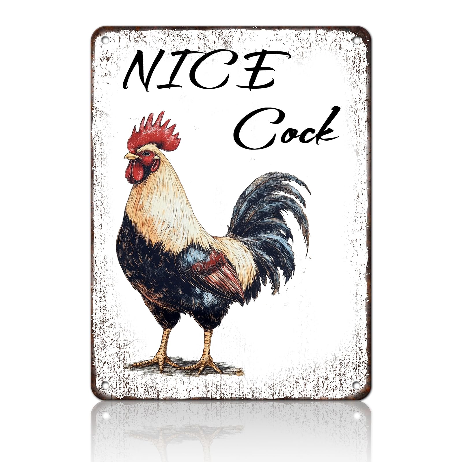 Chicken Metal Signs Rooster Kitchen Wall Decor Today I Will Pry More Worry Less Tin Sign 12x8 Inch Funny Chicken Coop Accessories Rooster Home Farm Yard Garden Decor