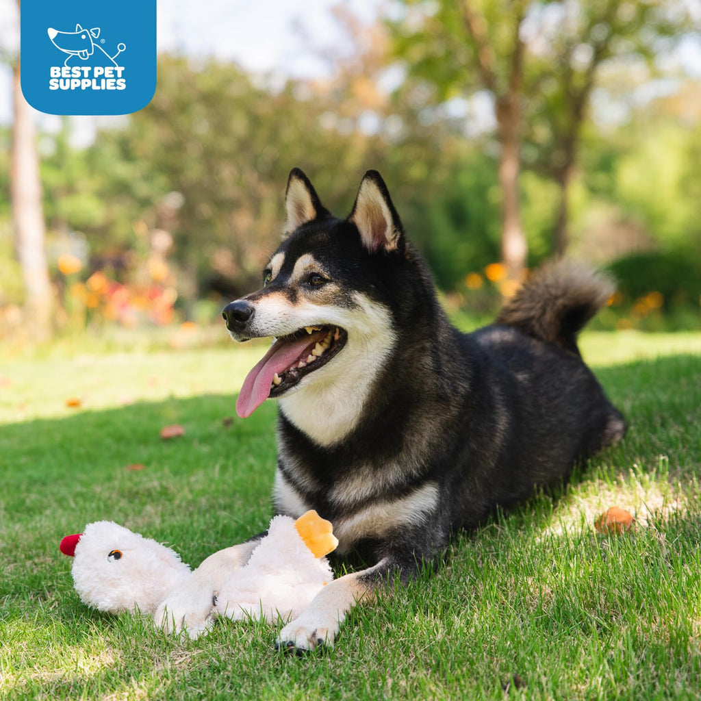 Best Pet Supplies Interactive Squeaky Dog Chew Toy, Ideal Dog Toys for Chewers, Small, Medium & Large Dogs, and Fetch Lovers - Crinkle Duck (Blue), Large
