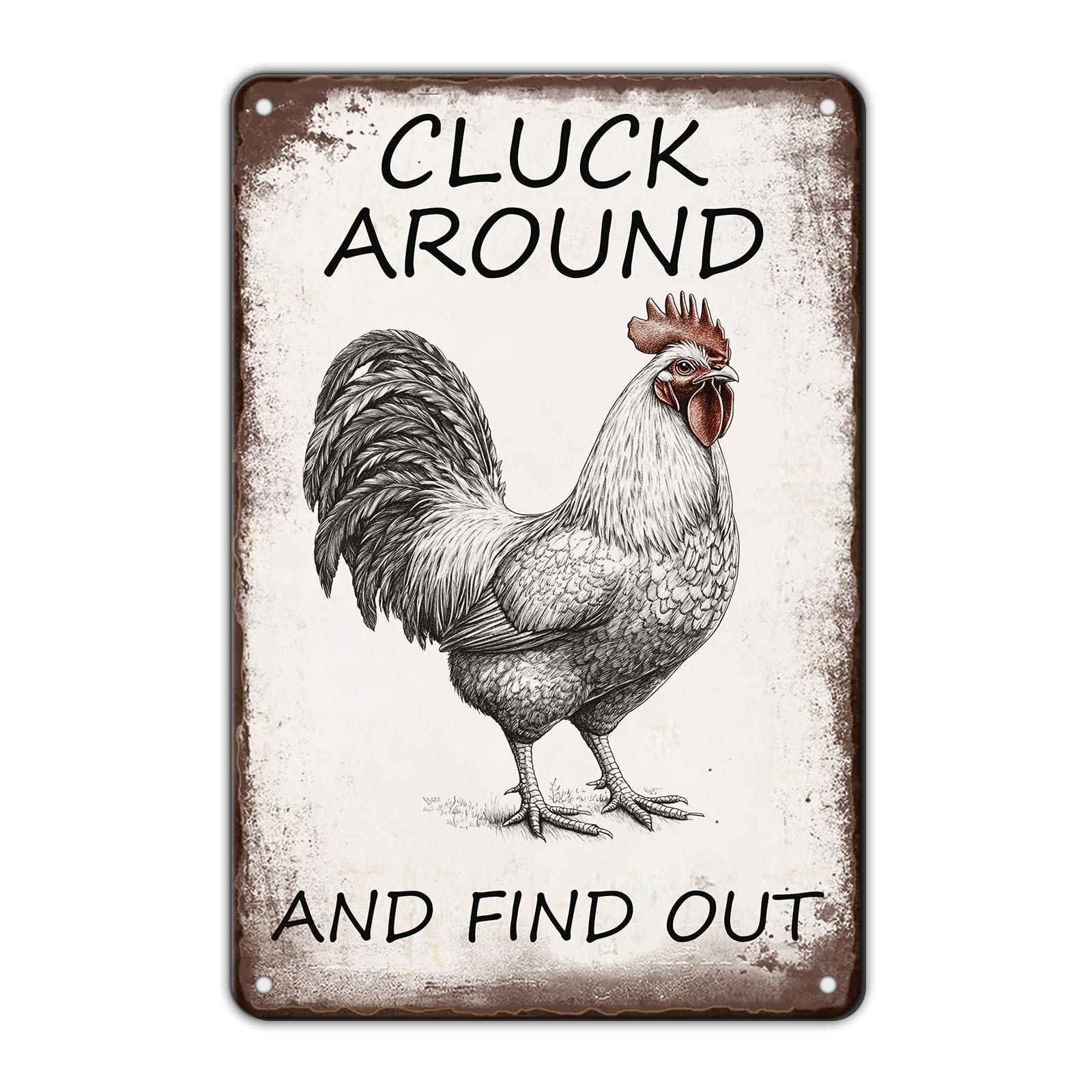 Chicken Metal Signs Rooster Kitchen Wall Decor Today I Will Pry More Worry Less Tin Sign 12x8 Inch Funny Chicken Coop Accessories Rooster Home Farm Yard Garden Decor