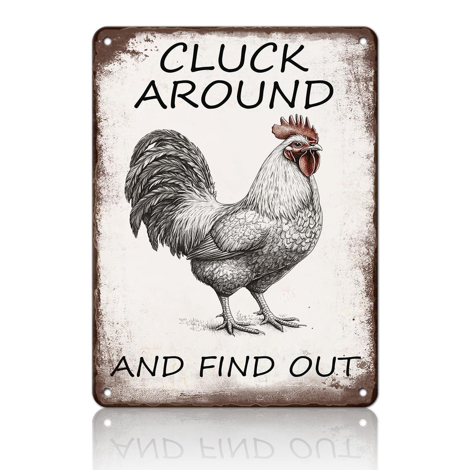 Chicken Metal Signs Rooster Kitchen Wall Decor Today I Will Pry More Worry Less Tin Sign 12x8 Inch Funny Chicken Coop Accessories Rooster Home Farm Yard Garden Decor