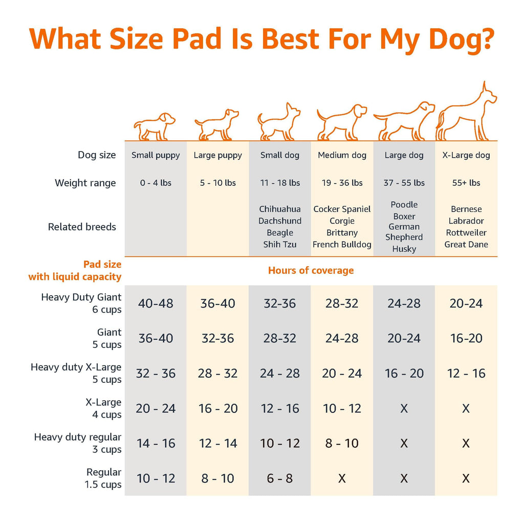 Amazon Basics Leak-Proof Dog and Puppy Potty Training Pee Pads with Quick-Dry 5-Layer Super Absorbent Design, Regular Size 22 x 22 inch, Blue & White, 100 Count