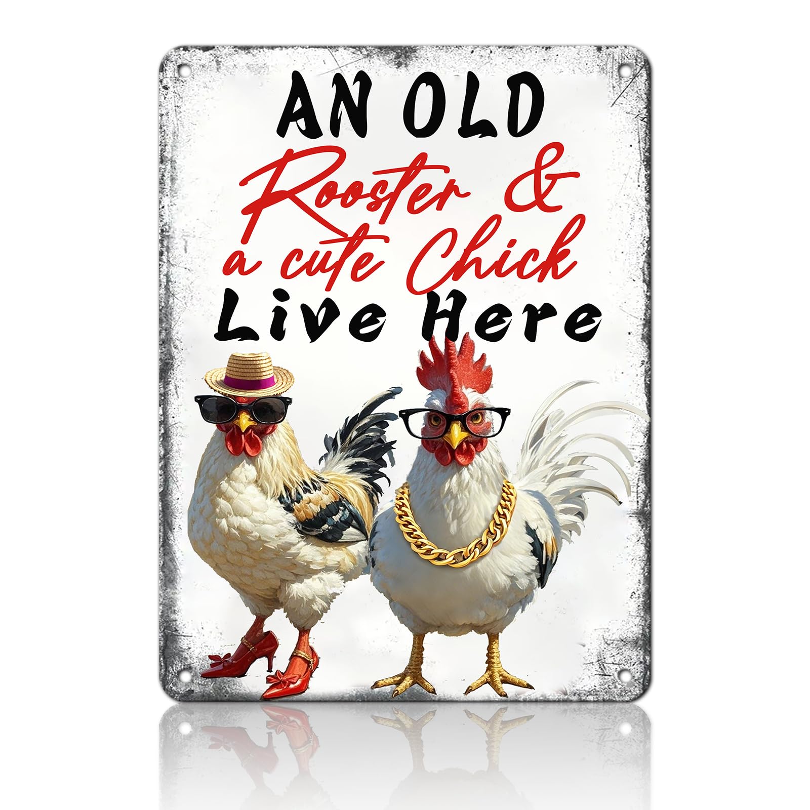 Chicken Metal Signs Rooster Kitchen Wall Decor Today I Will Pry More Worry Less Tin Sign 12x8 Inch Funny Chicken Coop Accessories Rooster Home Farm Yard Garden Decor