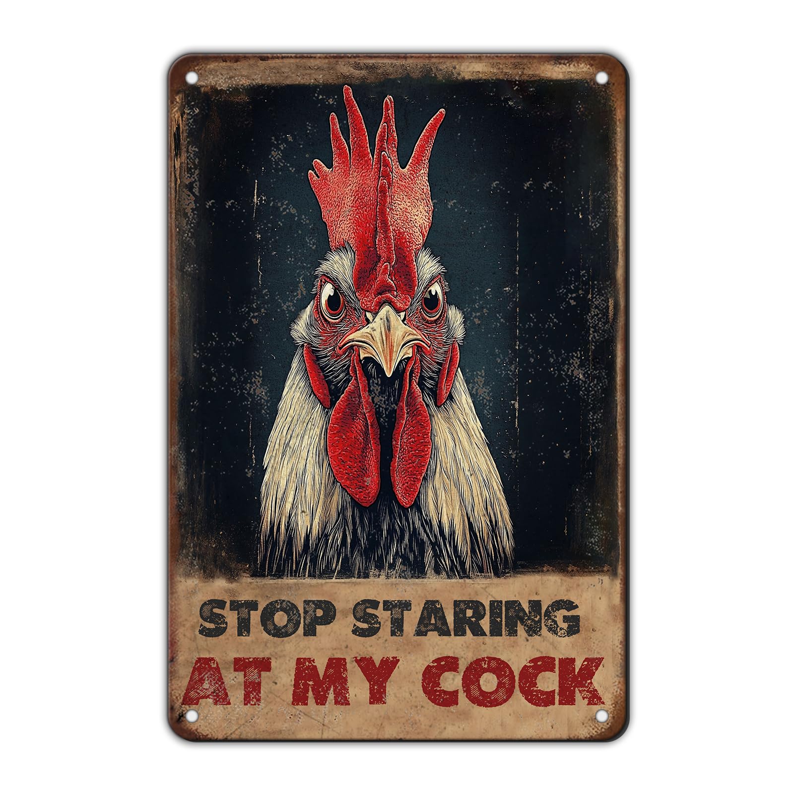 Chicken Metal Signs Rooster Kitchen Wall Decor Today I Will Pry More Worry Less Tin Sign 12x8 Inch Funny Chicken Coop Accessories Rooster Home Farm Yard Garden Decor