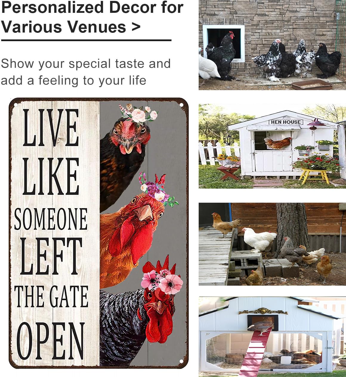 Crazysign Chiken Gifts Vintage Chicken Sign Live Like Someone Left The Gate Open Tin Sign for Home Chicken Coop Farm Fence Kitchen Bathroom Bedroom Decor 8x12 Inches (3298)