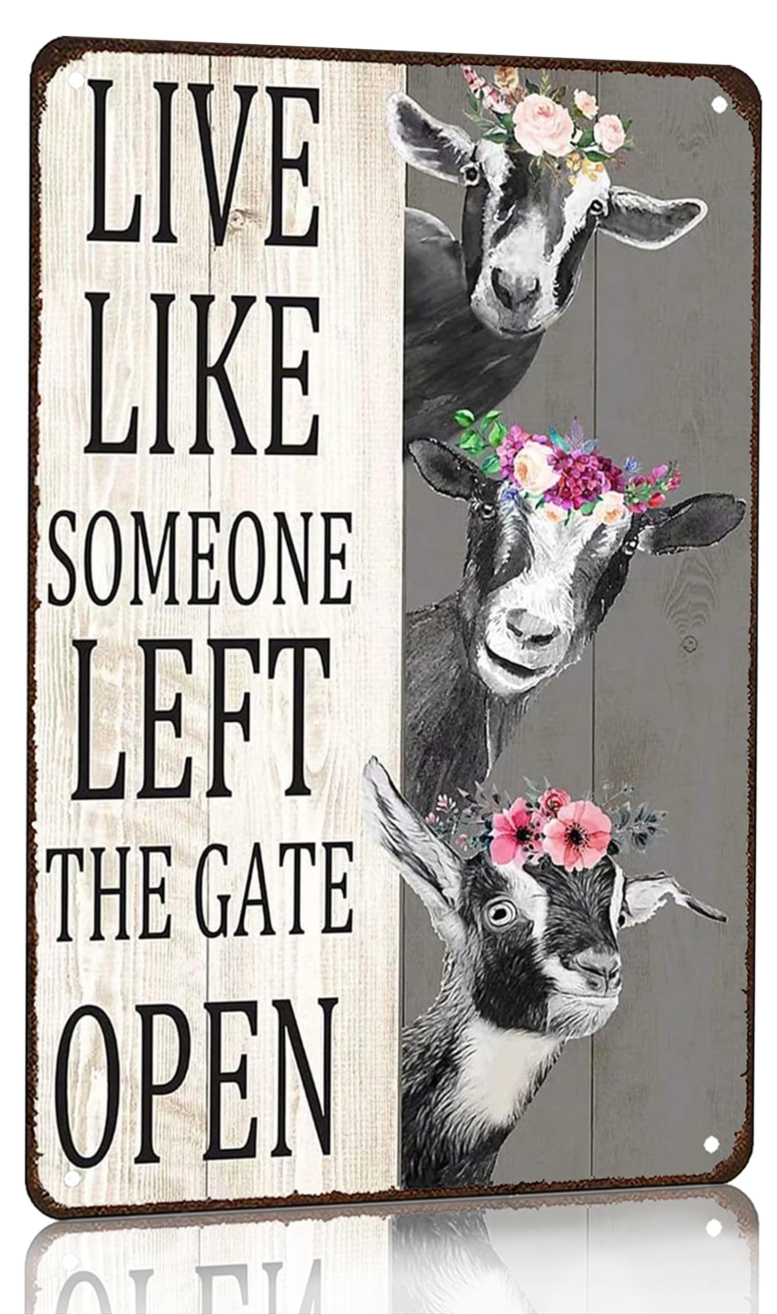 Crazysign Chiken Gifts Vintage Chicken Sign Live Like Someone Left The Gate Open Tin Sign for Home Chicken Coop Farm Fence Kitchen Bathroom Bedroom Decor 8x12 Inches (3298)