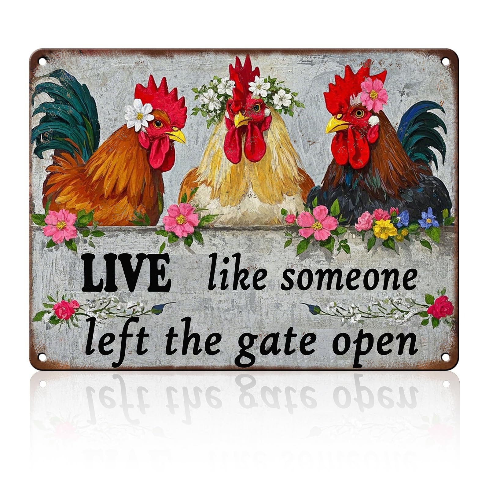 Chicken Metal Signs Rooster Kitchen Wall Decor Today I Will Pry More Worry Less Tin Sign 12x8 Inch Funny Chicken Coop Accessories Rooster Home Farm Yard Garden Decor