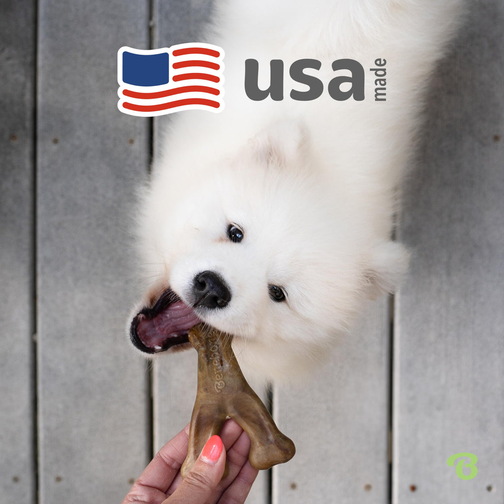 Benebone Wishbone Durable Dog Chew Toy for Aggressive Chewers, Real Bacon, Made in USA, Medium