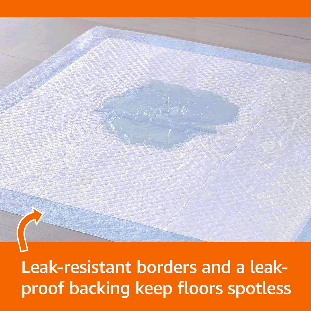 Amazon Basics Leak-Proof Dog and Puppy Potty Training Pee Pads with Quick-Dry 5-Layer Super Absorbent Design, Regular Size 22 x 22 inch, Blue & White, 100 Count
